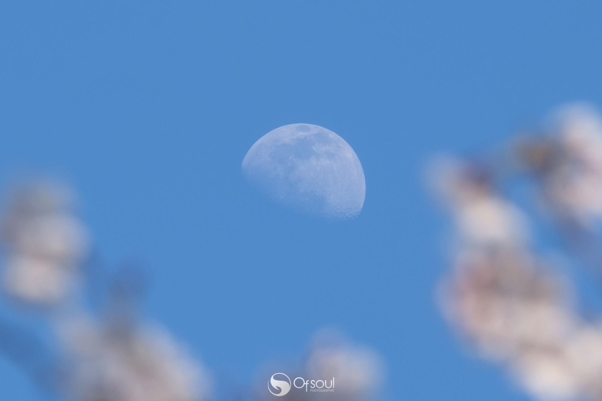 s2020.04.03 16.56.50-2.jpg
