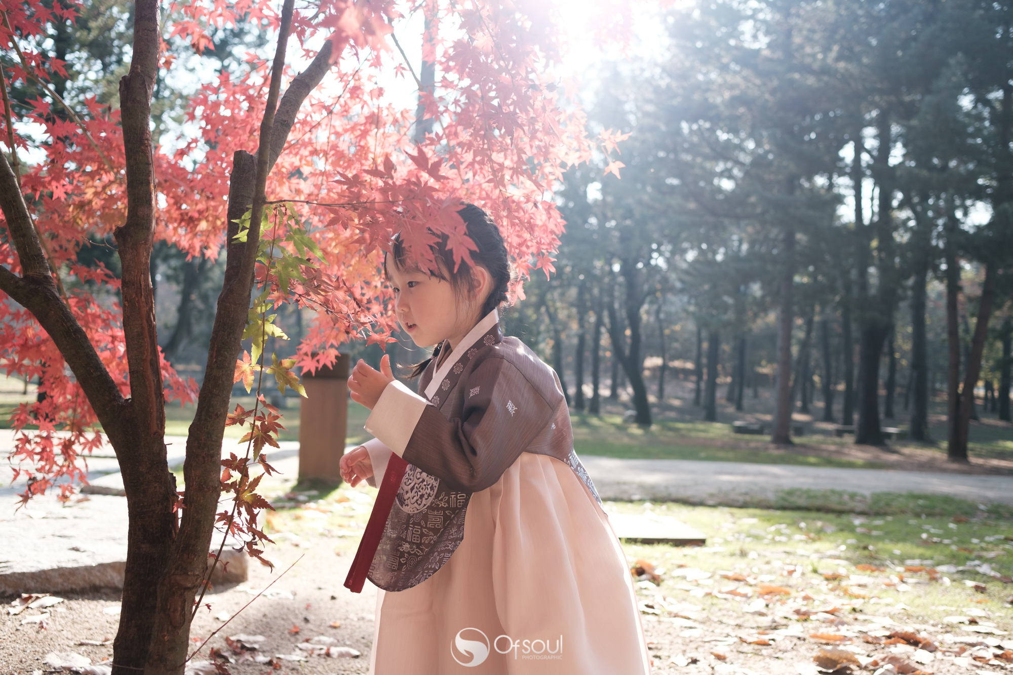 s2019.11.16 14.17.41.jpg