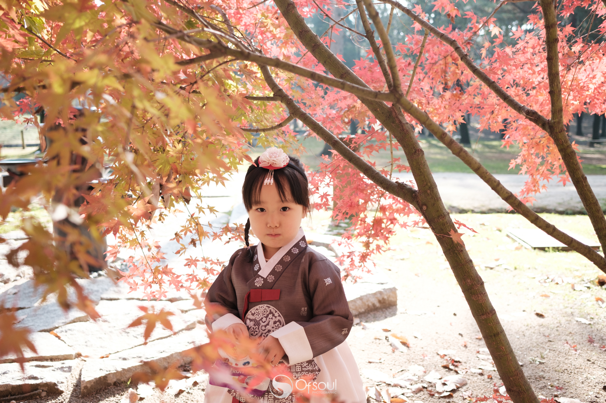 s2019.11.16 14.14.53.jpg