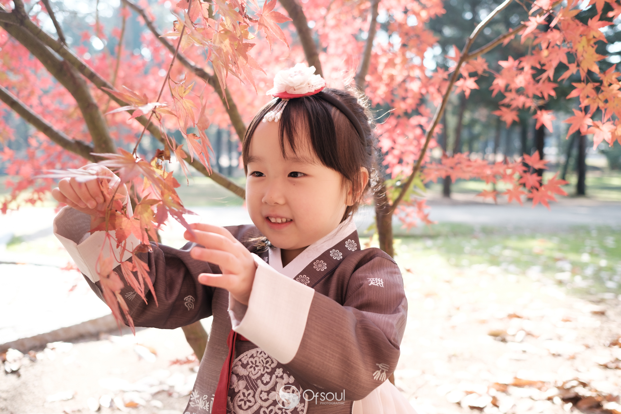 s2019.11.16 14.15.26.jpg