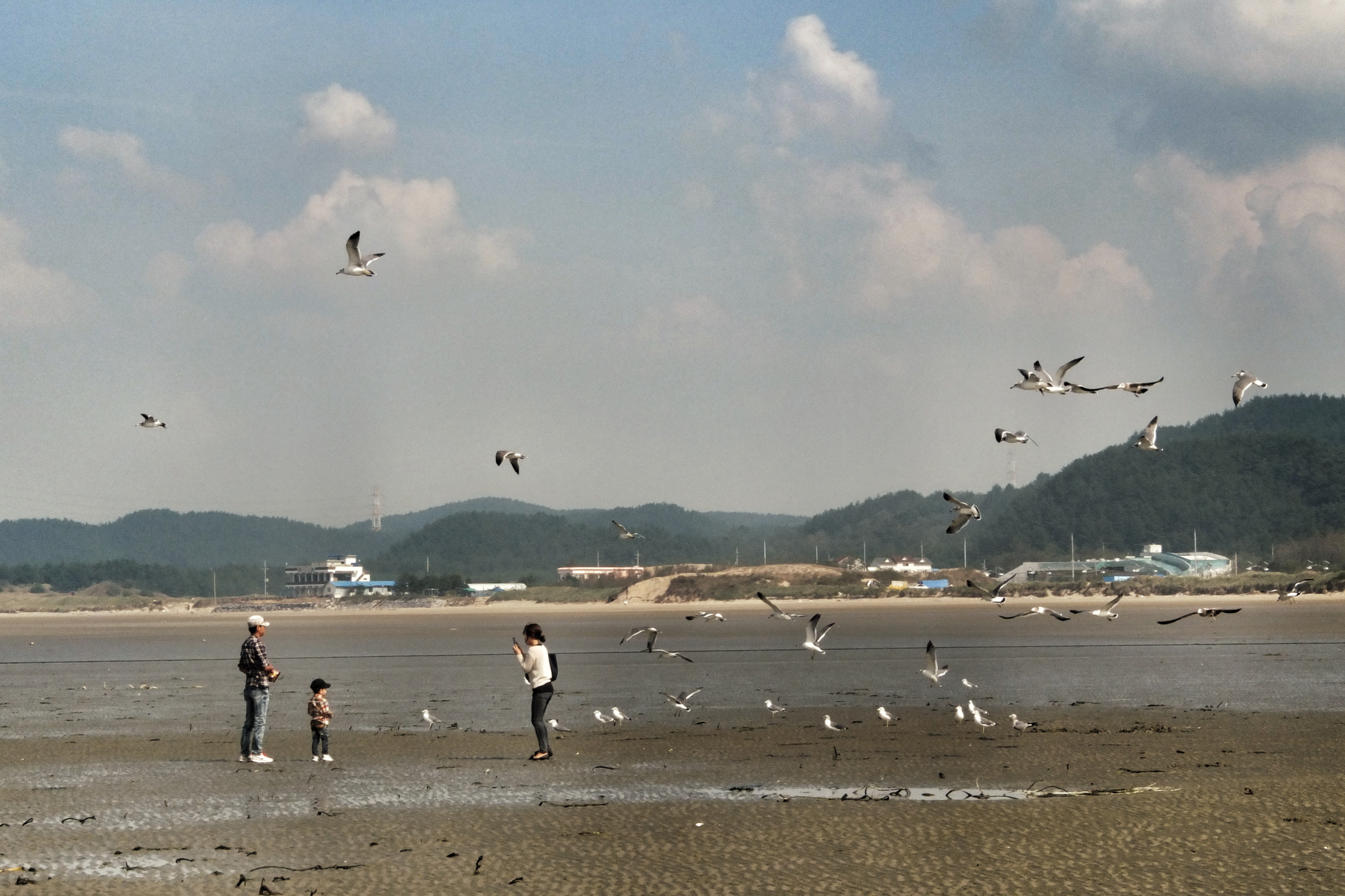 2012-10-03 13.29.19.jpg