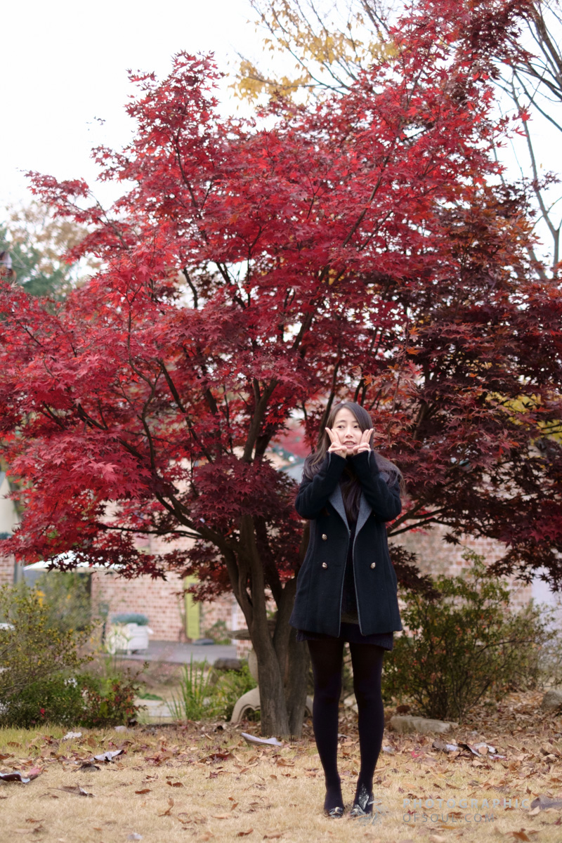 2014.11.08 16.30.36.jpg