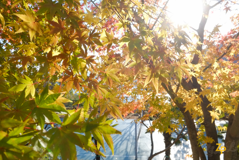 2013-11-17_15.46.05.jpg