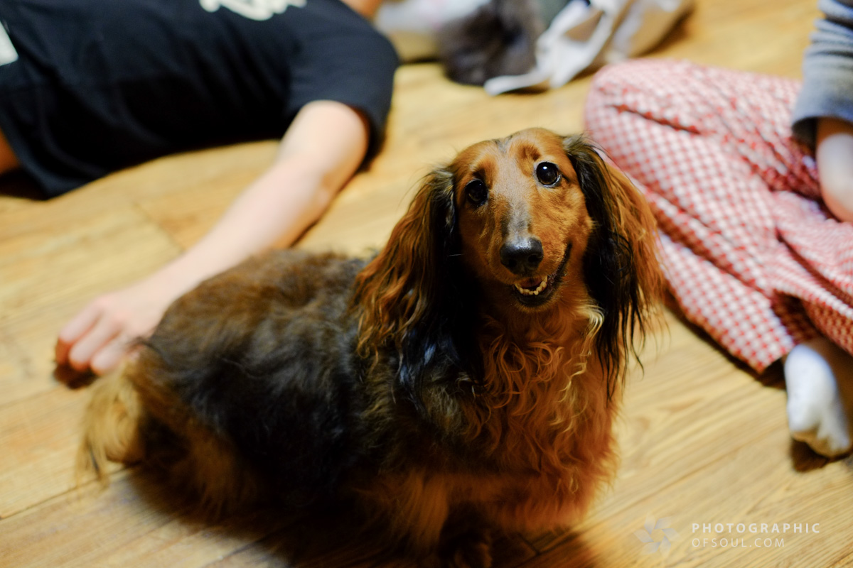 2014.03.01 20.40.11.jpg